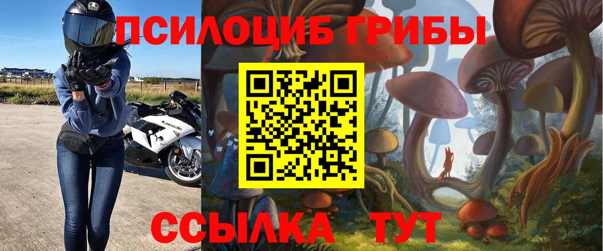 Псилоцибиновые грибы MAGIC MUSHROOMS Апшеронск