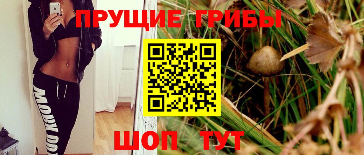Апшеронск  Галлюциногенные грибы мухоморы  где продают   Вход с VPN 